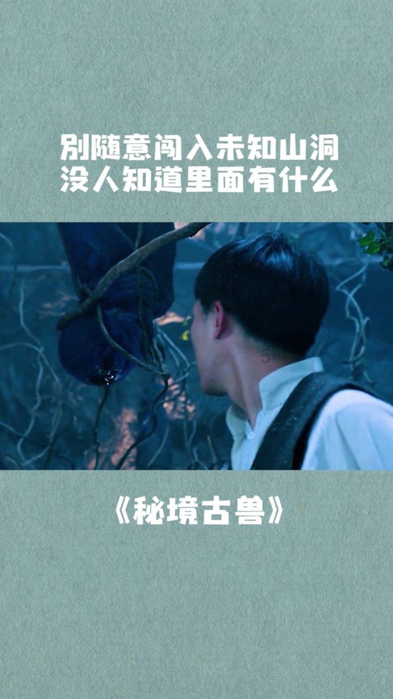 一次性餐具:便捷卫生的多场景应用