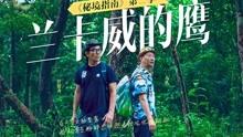 国网泌阳县供电公司：用电隐患大排查 拧紧校园安全阀