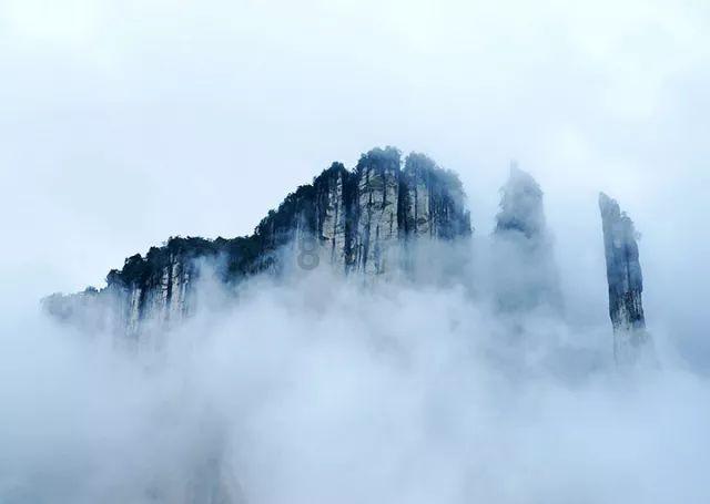 世纪之案
