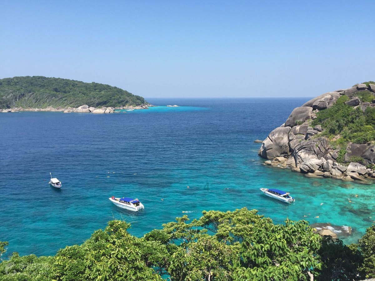 小企鹅逃生