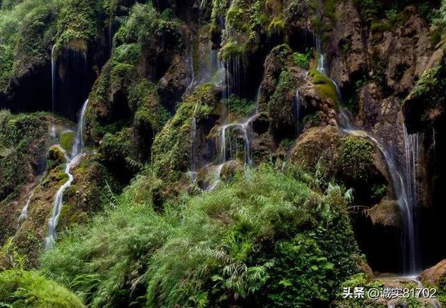 写给很累的你:真正拖垮一个人的,不是内耗,而是...
