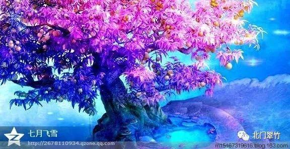 苏菲亚的婚纱